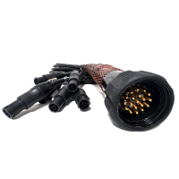 Socapex 419 19 pins [M] > 6x Powercon True1 1-6m