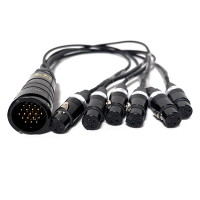 LK19 [M] No Ring > 6x XLR3 [F] AES