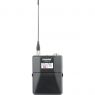 Shure | ULXD1LEMO3 - K51 (606-670 MHz) - Bodypack