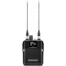 Shure - ADXR