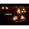 MANTIS - Portman® Lights