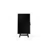 I3 - SIXTY 43 Inch-C Display + Mobile stand
