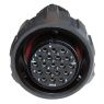 PA-COM - 19P Female with nut + cable gland