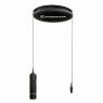 Sennheiser - MZC 30 black