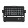 CLF - Sera BLACK