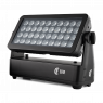CLF - Sera BLACK