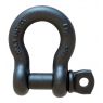 Bow Shackle, Screw collar pin - 3,25 T Black