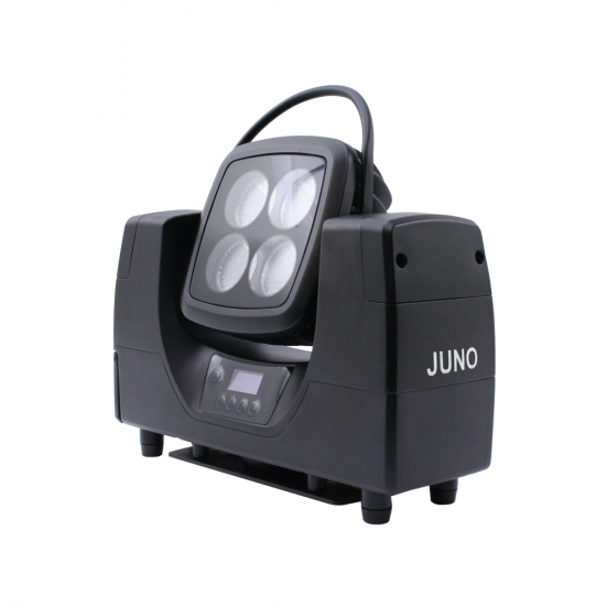 CLF | Juno (in box)