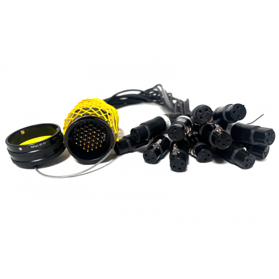 LK37 [F] > 12x XLR3 [M] AES 0,5m